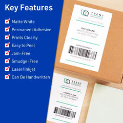 Avery® Full Sheet Shipping Labels, 8-1/2" x 11", White, 250 Blank Mailing Labels (95920)